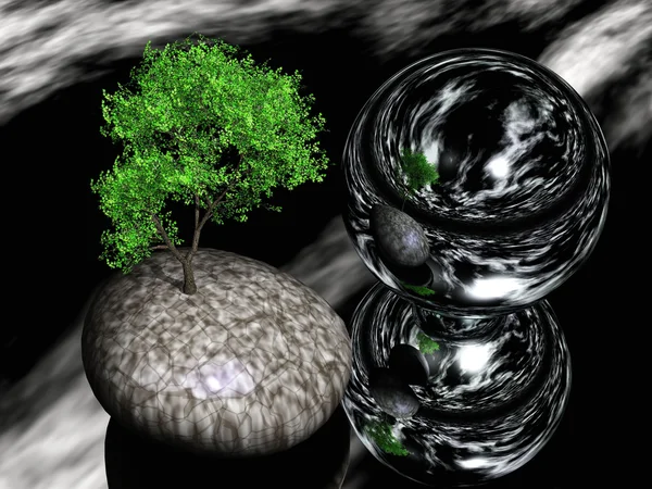 Зелене дерево на камені — стокове фото