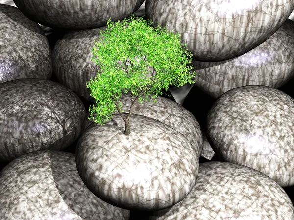 Зеленое дерево на камне — стоковое фото