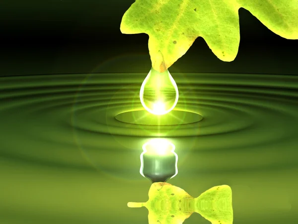 Green leave with drop reflecting in the water — Stock Photo, Image