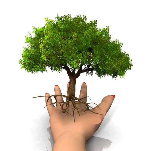 Árbol en mano — Foto de Stock