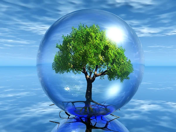 Tree in a transparent bubble — Stock Photo, Image