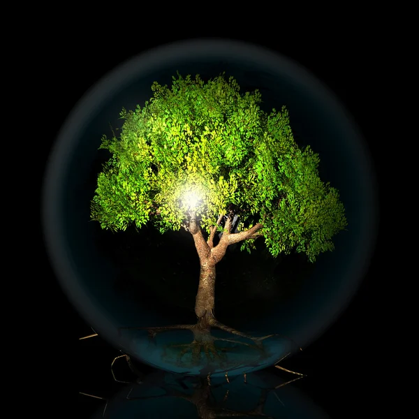 Träd i en genomskinlig bubbla — Stockfoto