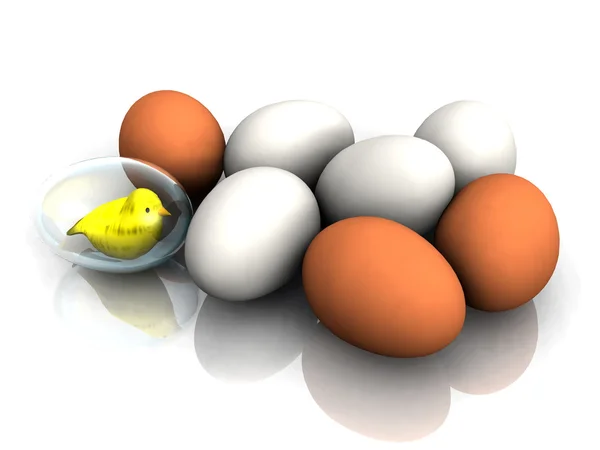 Pollo con huevos —  Fotos de Stock