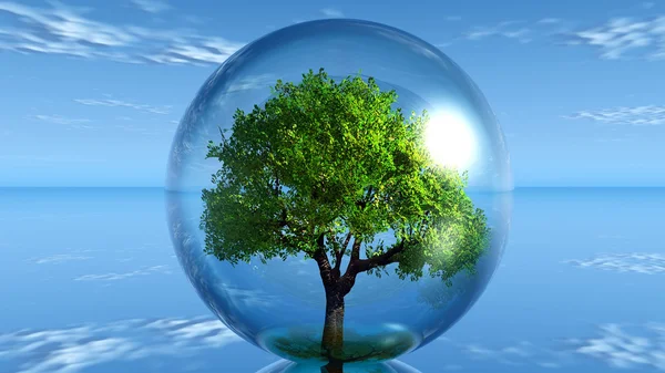 在一个透明的泡泡树 — 图库照片