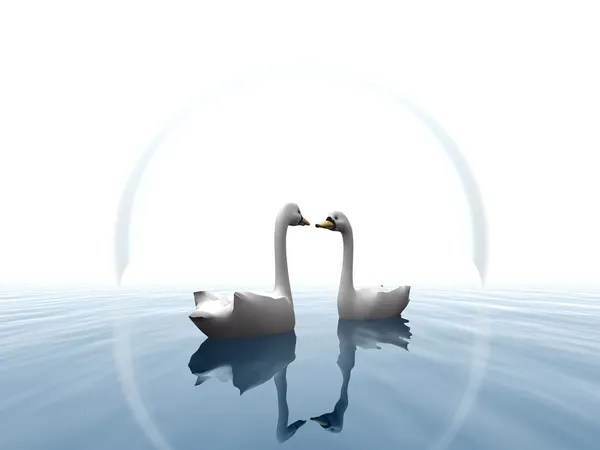 Swans on a lake — Stock Photo, Image