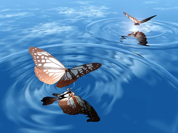 Butterflies on water — Stock Photo, Image