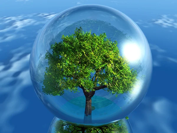 Árvore em uma bolha transparente — Fotografia de Stock