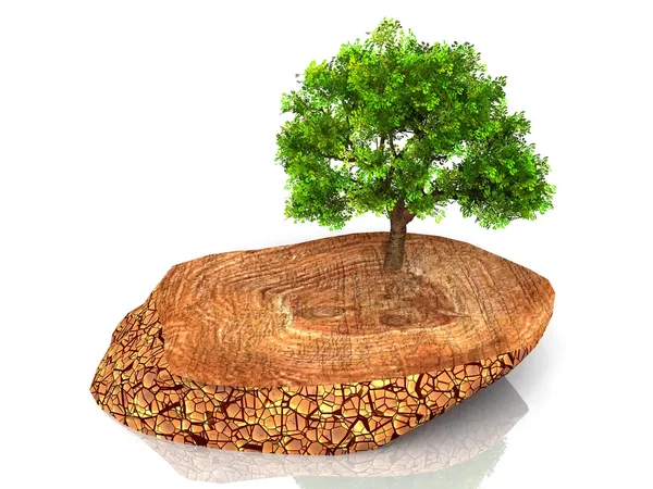 The tree and the stump — Stock Photo, Image