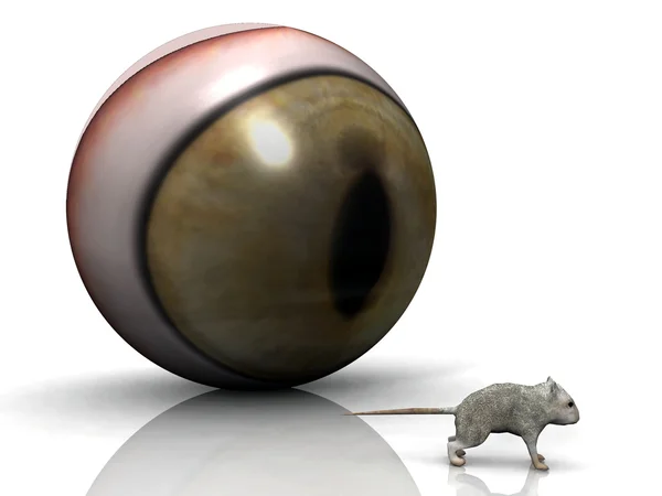 Мышь и кошачий глаз — стоковое фото