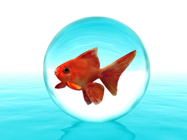 Guldfisk i en bubbla — Stockfoto
