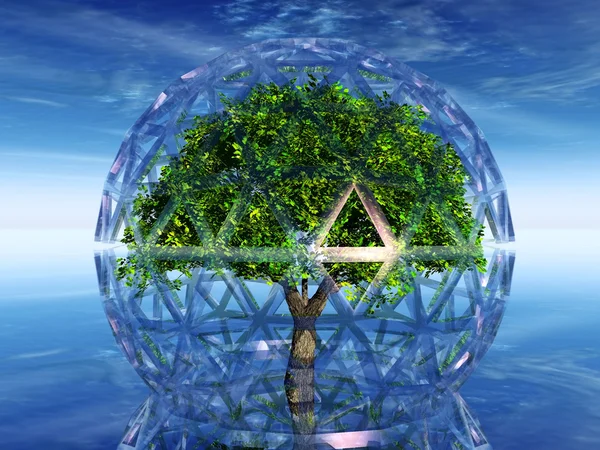 Árvore em uma bolha transparente — Fotografia de Stock