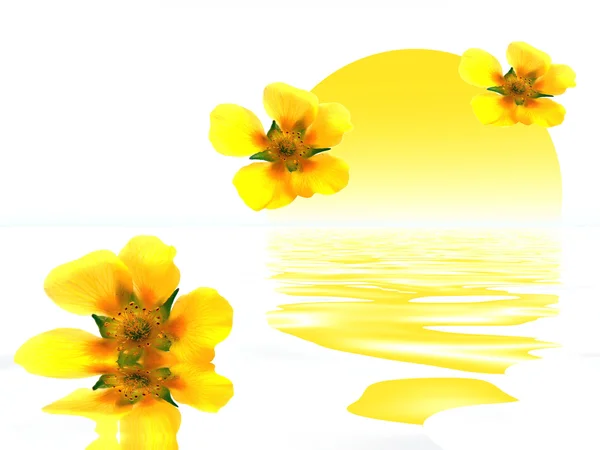 Flowers and yellow sun — Stock Photo, Image