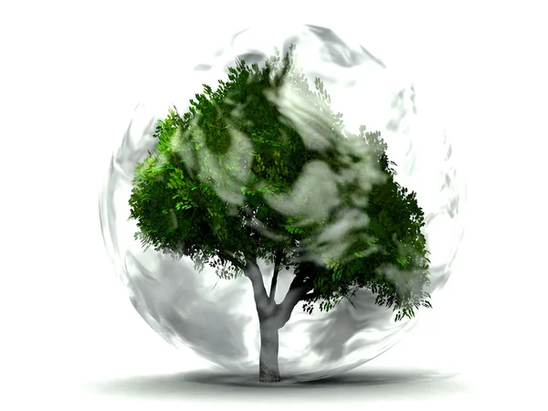 Träd i bubblan — Stockfoto