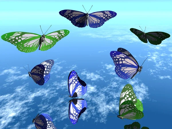 Бабочки в небе — стоковое фото