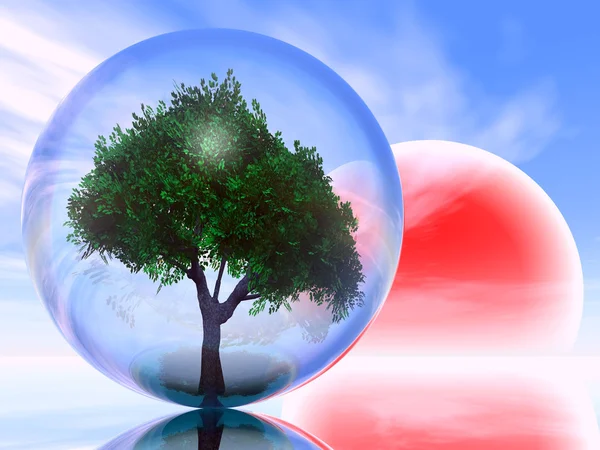Strom v transparentní bublina — Stock fotografie