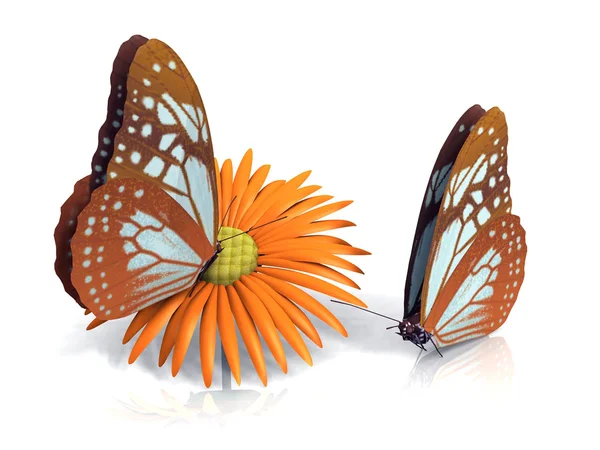 Flower and butterflys — Stock Photo, Image