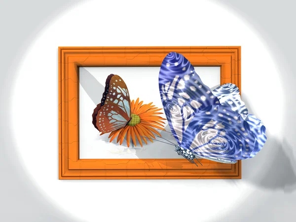在帧中的蝴蝶 — 图库照片