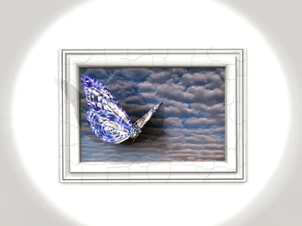 Motyle w ramce — Zdjęcie stockowe