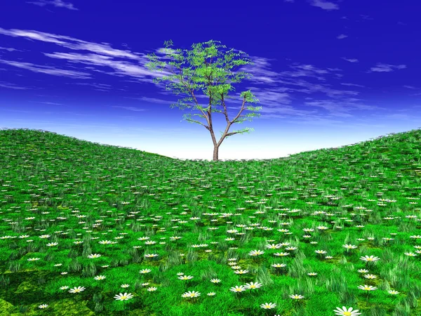 3D візуалізація зеленого поля з деревом — стокове фото