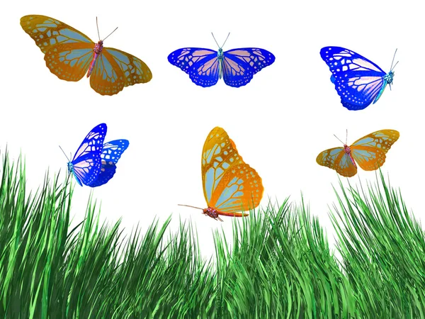 The butterfly — Stock Photo, Image