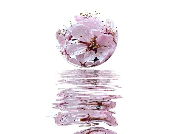 Bubble met bloemen — Stockfoto