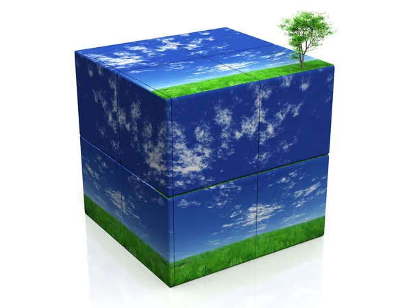 Cube et arbre — Photo