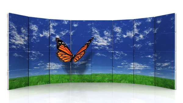 Butterfly on sky background — Stock Photo, Image