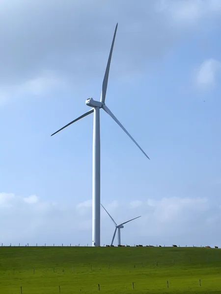 Grön äng med vindkraftverk — Stockfoto