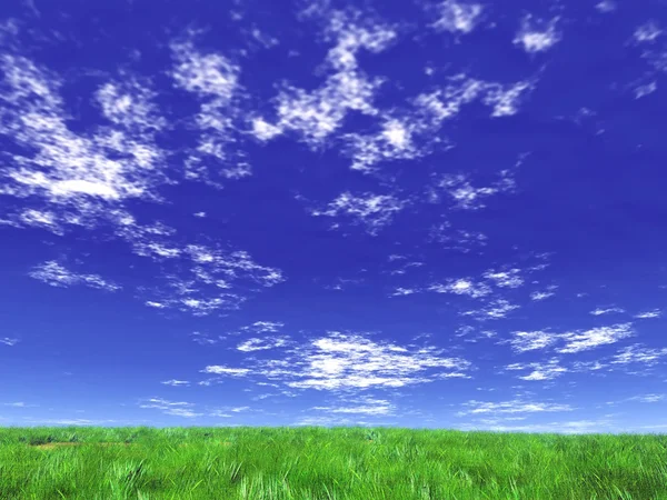 Grünes Feld und weiße Wolken — Stockfoto