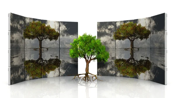 Reflexão da árvore — Fotografia de Stock