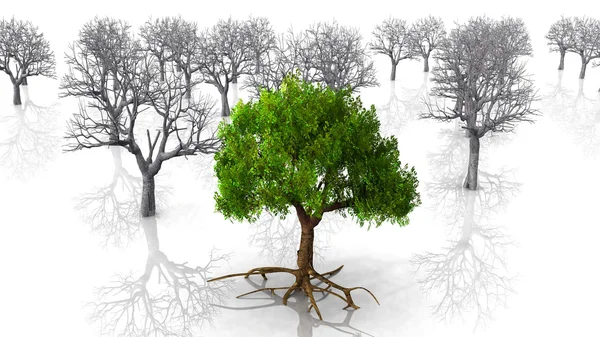 Ilustración 3d de un árbol —  Fotos de Stock