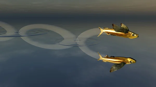 Złote rybki wyskakujące z wody — Zdjęcie stockowe