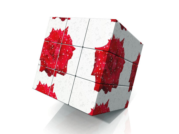 Cube with flowers