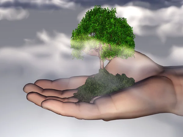 Zelený strom v rukou — Stock fotografie