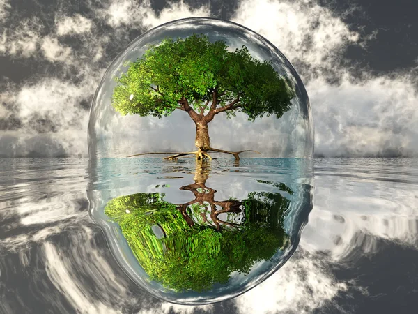 Árbol en una burbuja transparente —  Fotos de Stock
