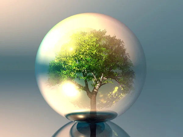 Arbre dans une bulle transparente — Photo