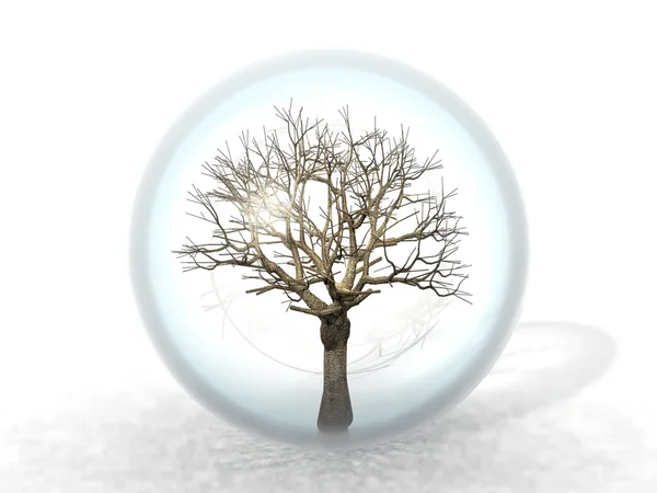 Мертвое дерево в пузыре — стоковое фото