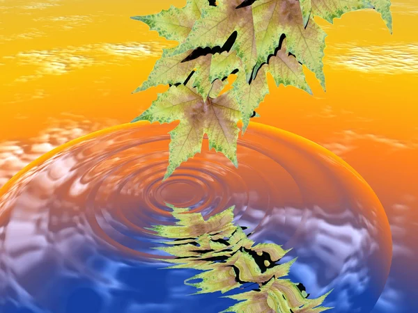 물에 잎 — 스톡 사진