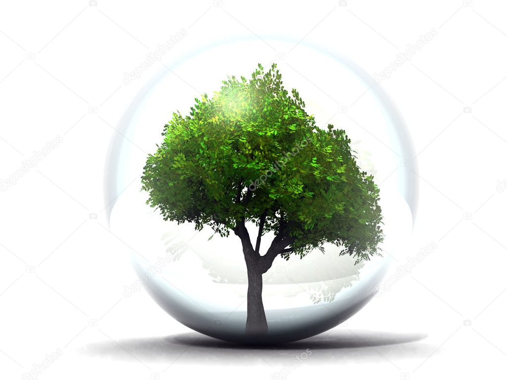 Tree in a transparent bubble