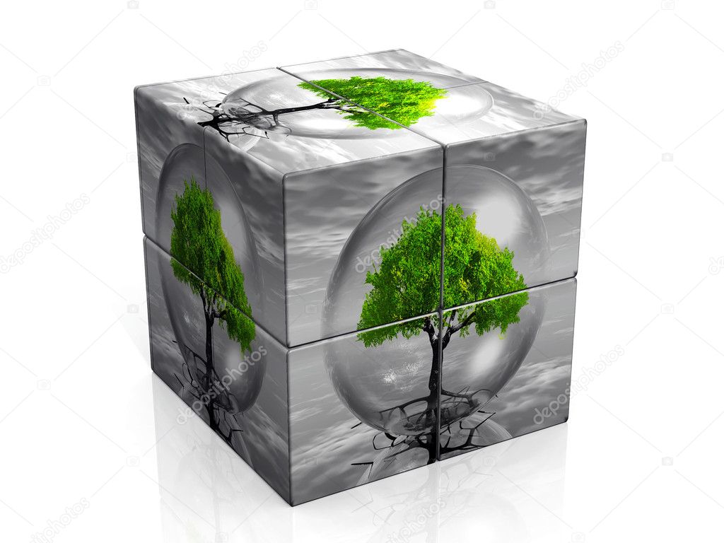 Cube and tree