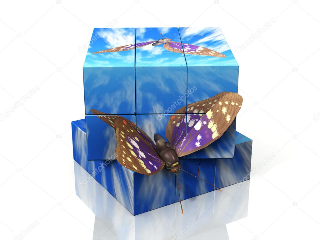 Butterflies flying from a 3D box