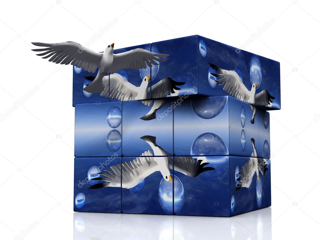 Seagulls flying from a 3D box