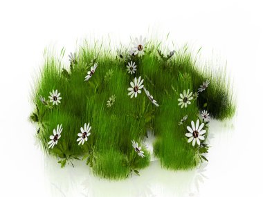 High grass and white flowers clipart