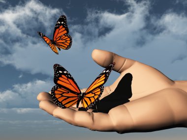 Butterfly clipart