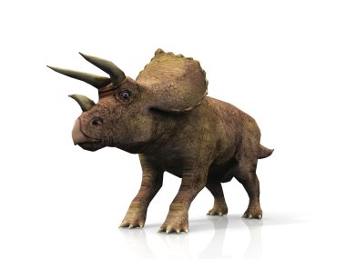 Triceratops on a white background clipart