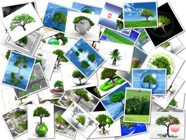 The pictures of my trees clipart