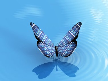 The butterfly clipart