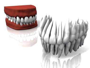 Denture close up clipart