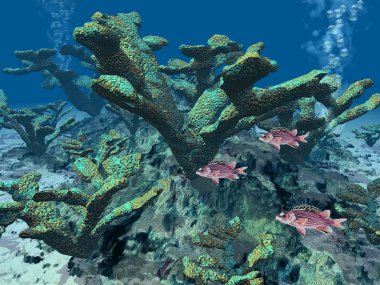 arrecifes de coral bajo el agua con peces pequeños