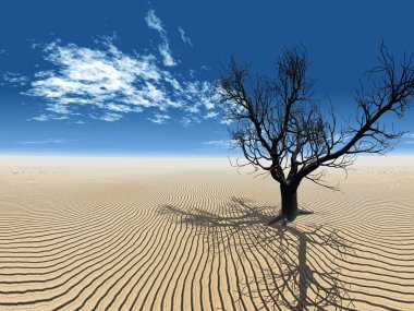 Dry tree in desert clipart